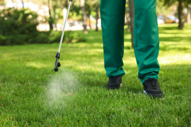 Best Rat Extermination Near Me  in Heathcote, NJ