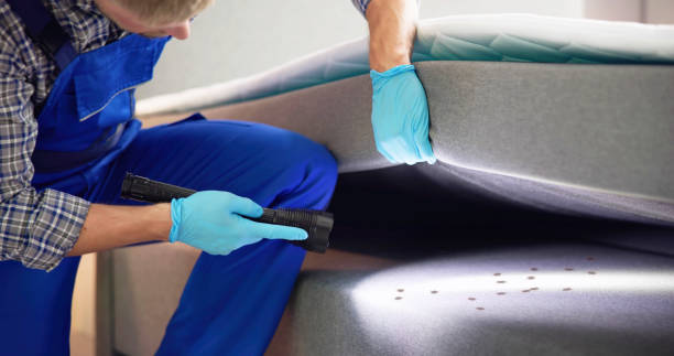 Reliable Heathcote, NJ Pest Control Solutions